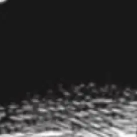 Profile image of 백선기