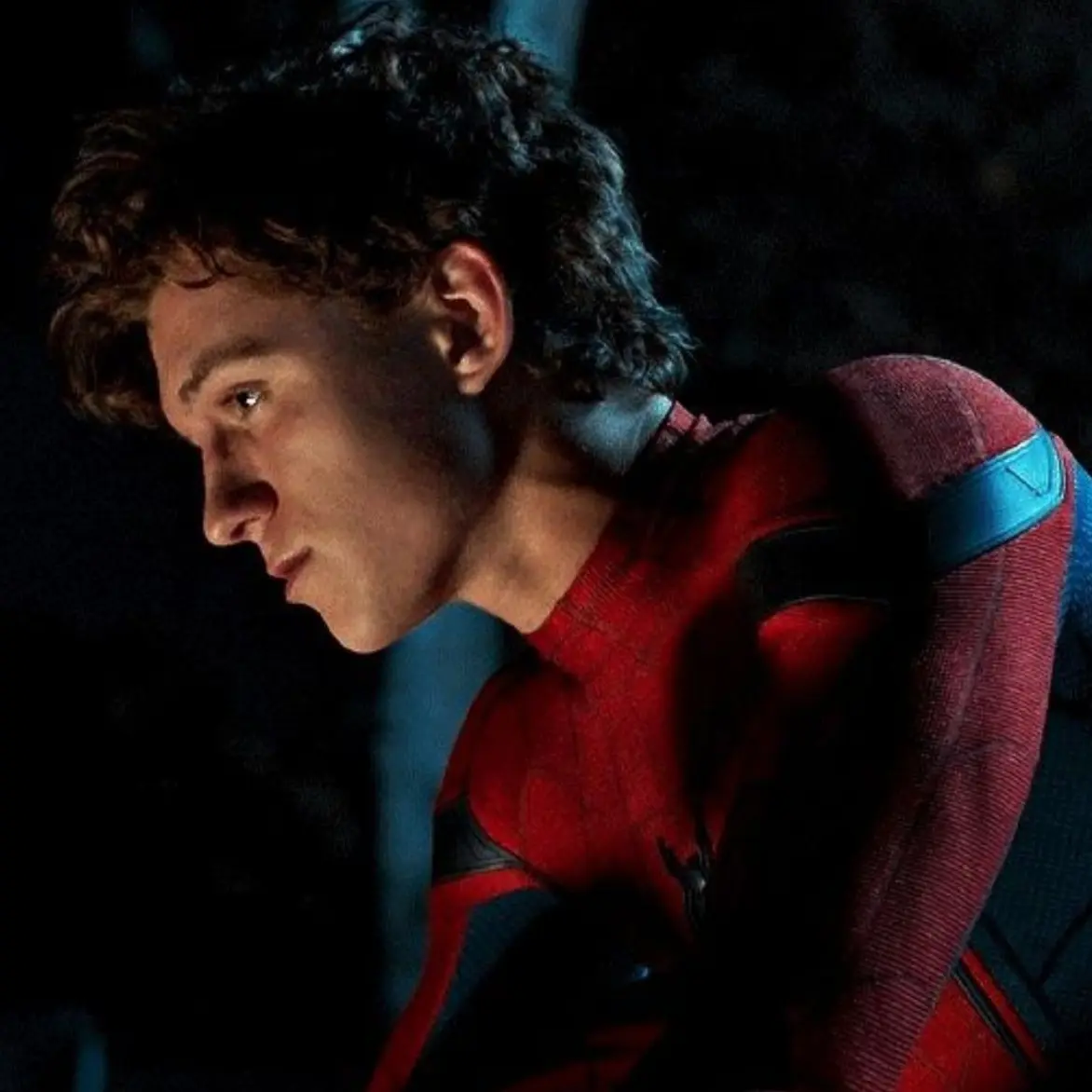 bookreader44의 Spiderman 🕷️ 🕸️