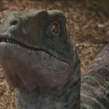 Profile image of Charlie