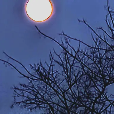 Profile image of 김각별