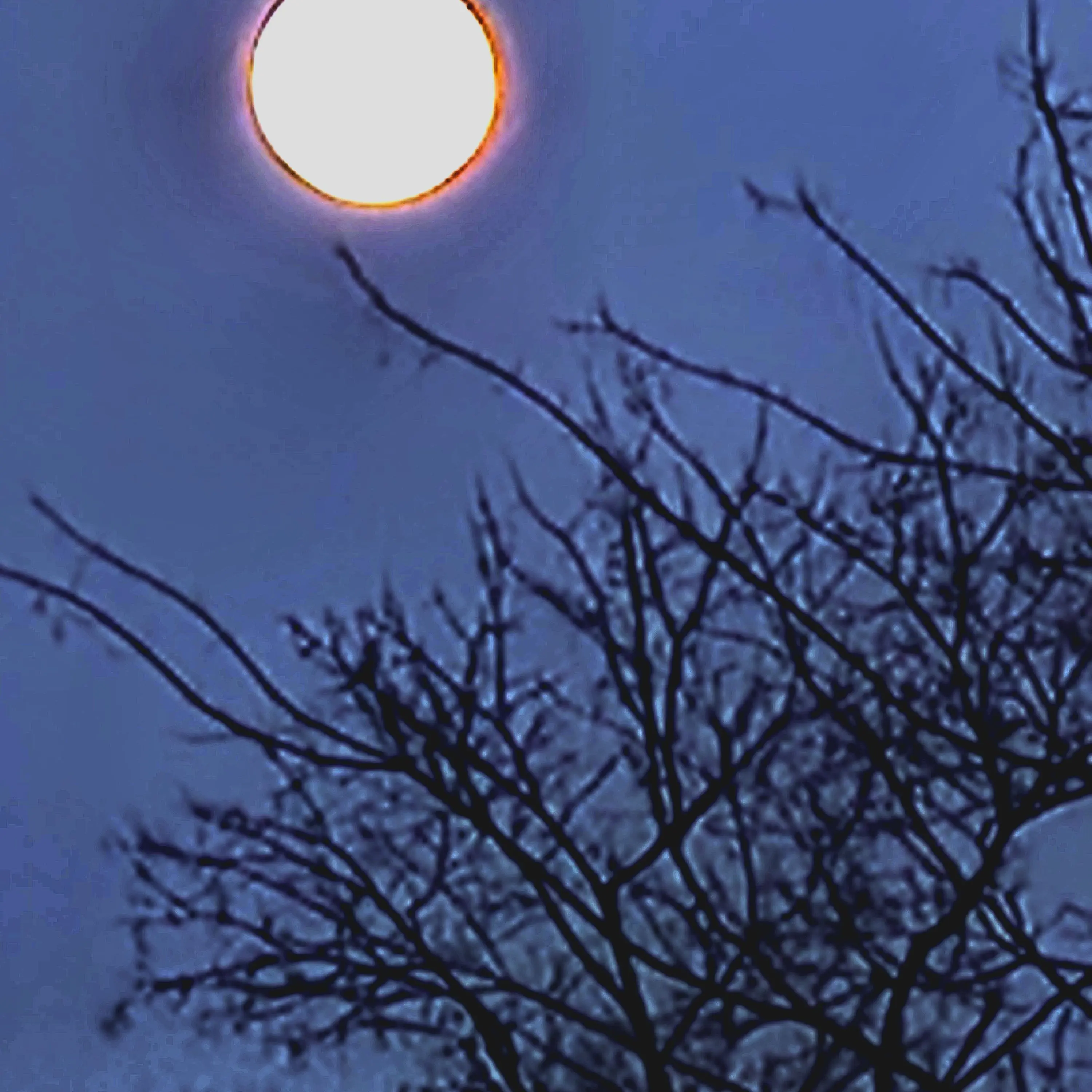 LilacBell8846의 고해성사