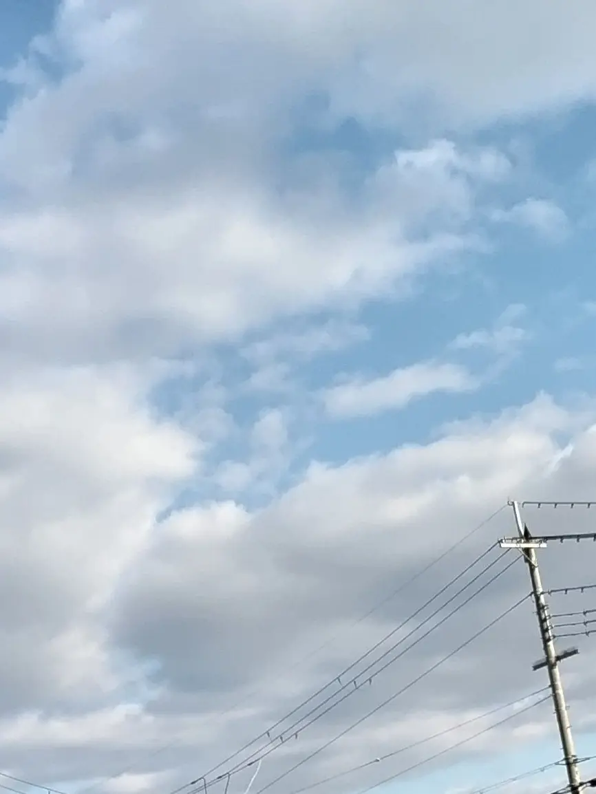 RoughCard6618의 あの時の人。