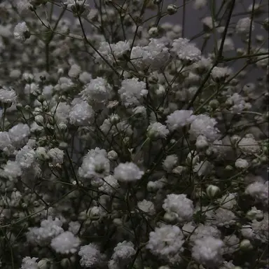 Profile image of しゅーや