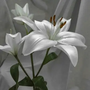 Profile image of 정공룡