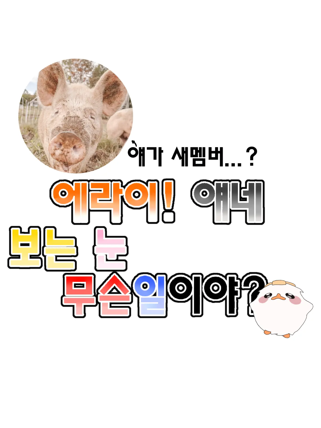Hanna_11의 에라이! 얘네 보는눈 무슨일이야?