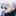 고죠 사토루