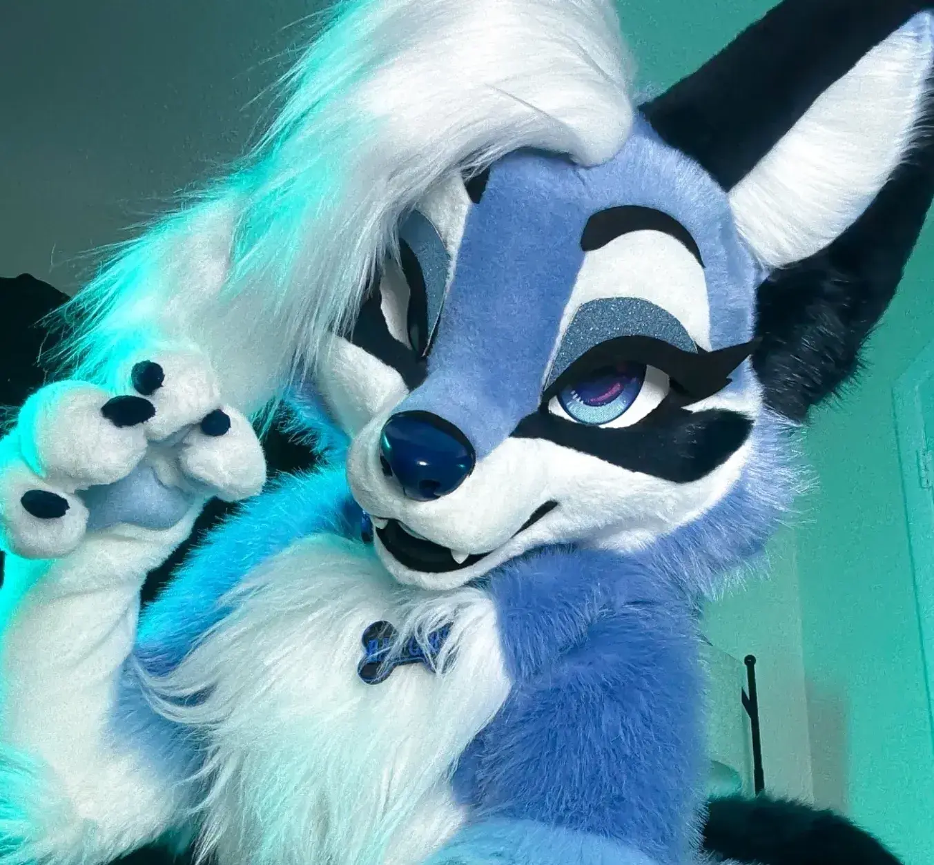 TacitSteak4731의 Kaia - Secret Furry