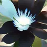 Profile image of 目黒蓮