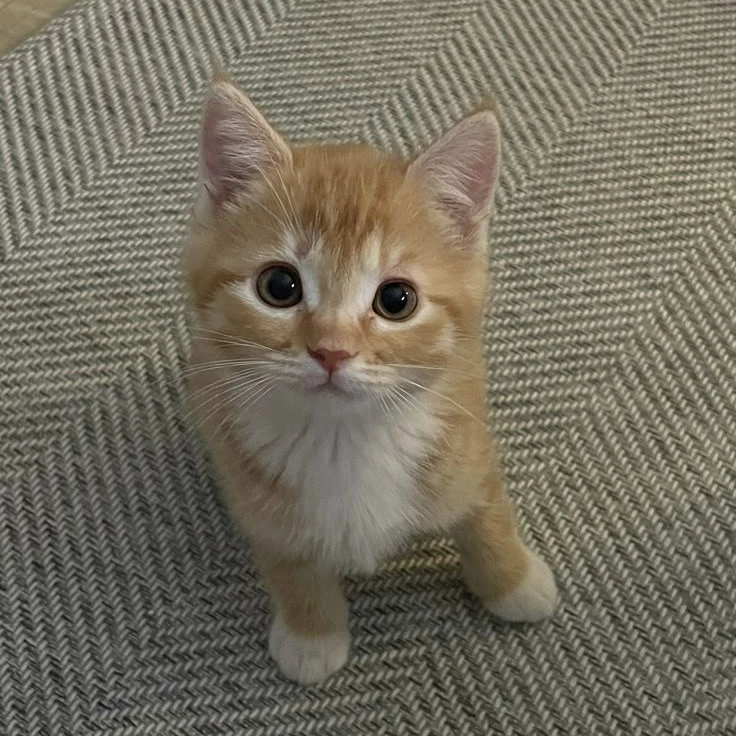 이민호