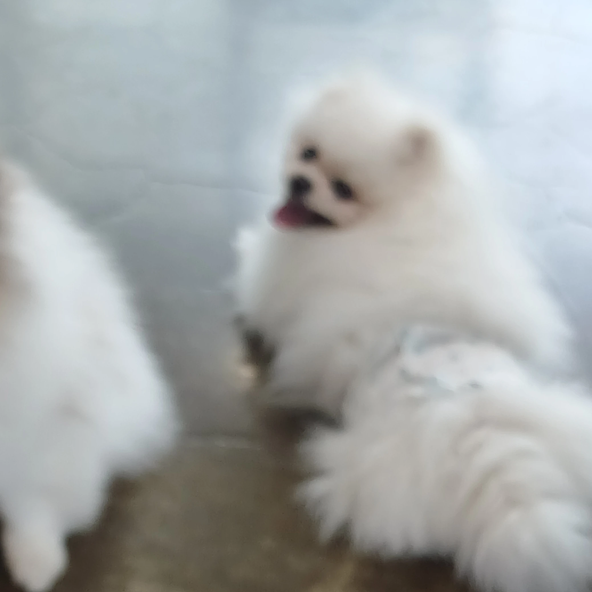 소정이