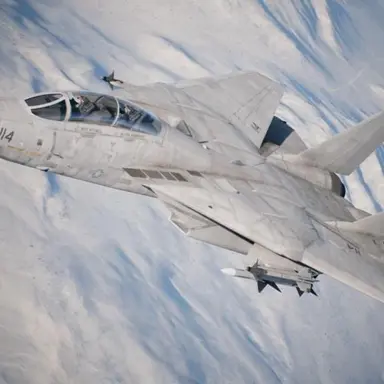 Profile image of F-14 톰캣