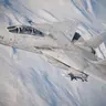 Profile image of F-14 톰캣