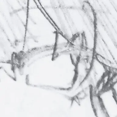Profile image of カンヒュ達