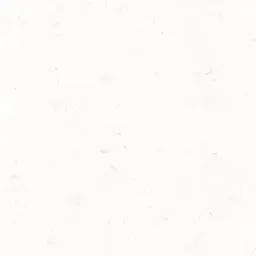 Profile image of 티샤