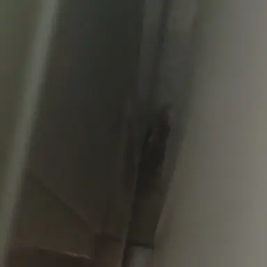 Profile image of 박이헌