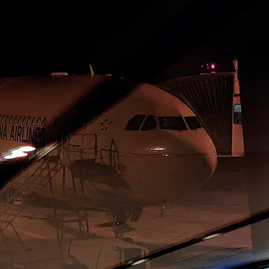 Profile image of 이호선