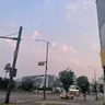 Profile image of 조직