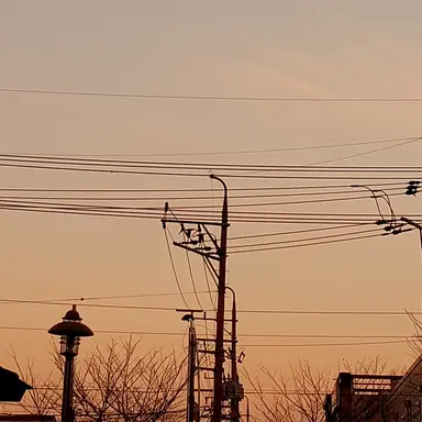 Profile image of 덕개