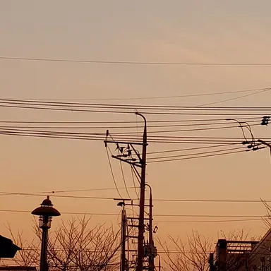 Profile image of 각별