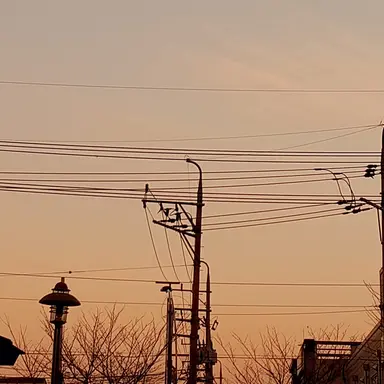 Profile image of 라더