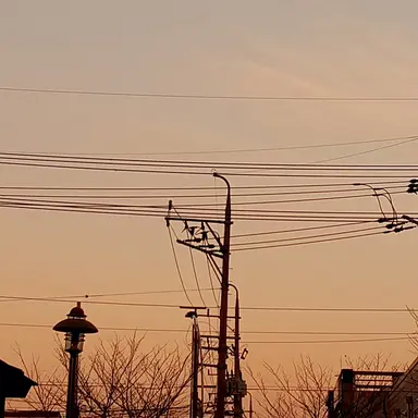 Profile image of 수현