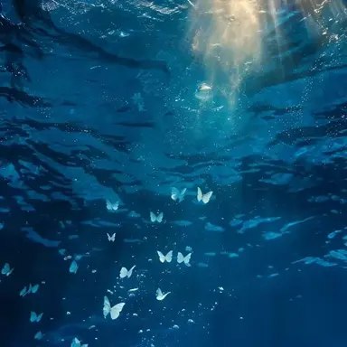 Profile image of 잠뜰