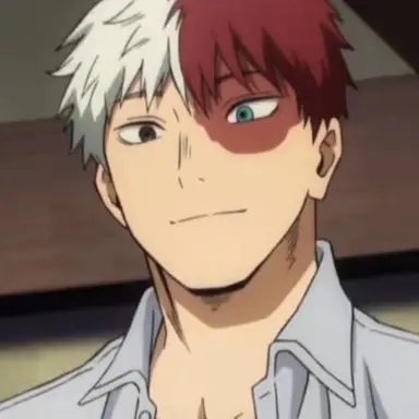 Profile image of Todoroki