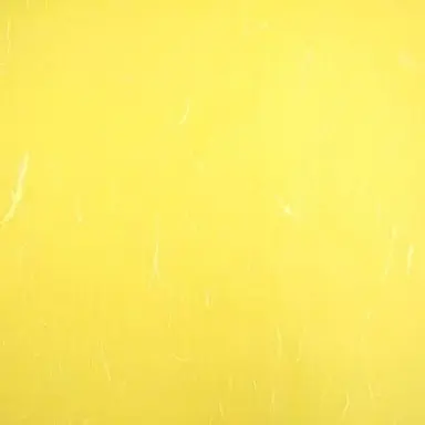Profile image of 노랭이