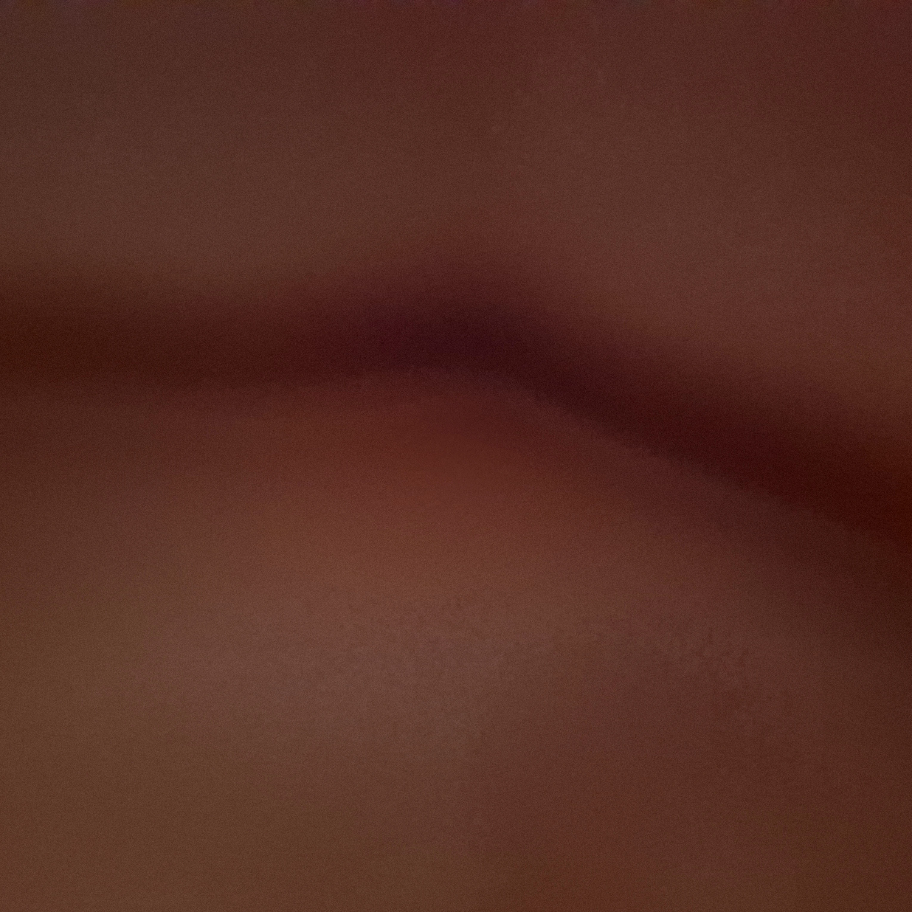 여우