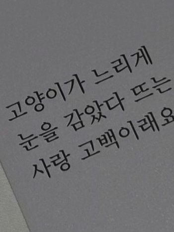 아키야마 코코 대표 이미지
