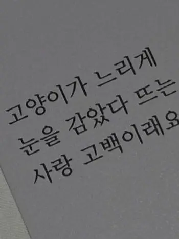 ENTP1000의 아키야마 코코