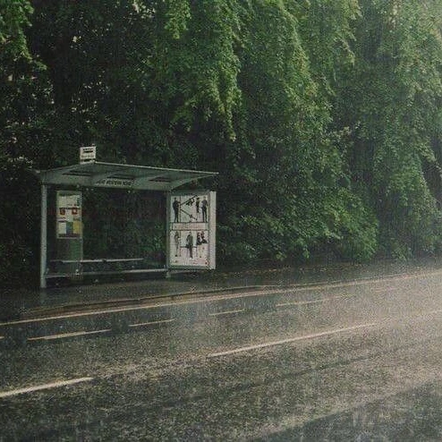 정공룡