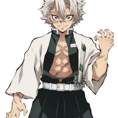 Profile image of 시나즈가와 사네미