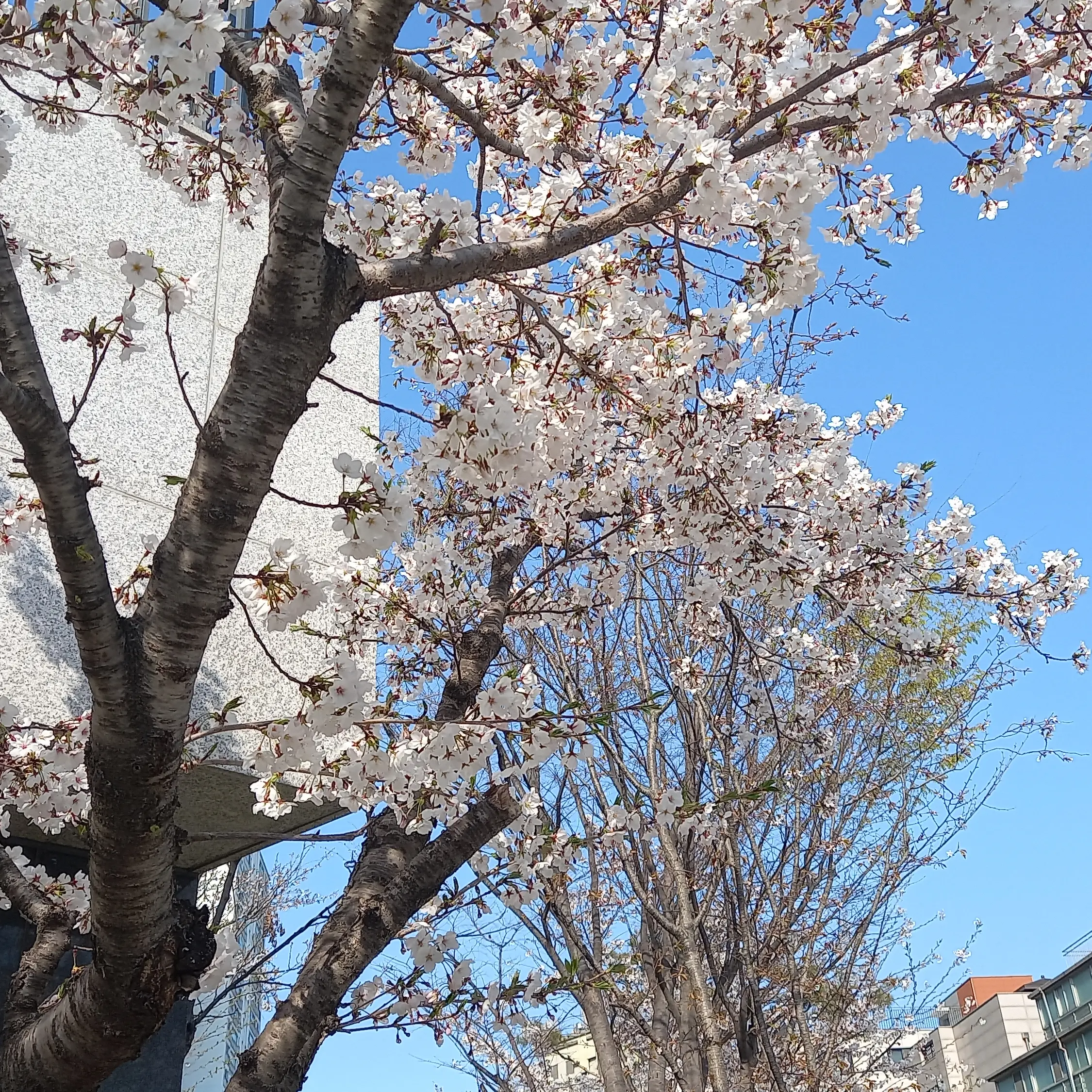 FluidRadar6337의 이준학