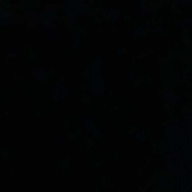 공룡