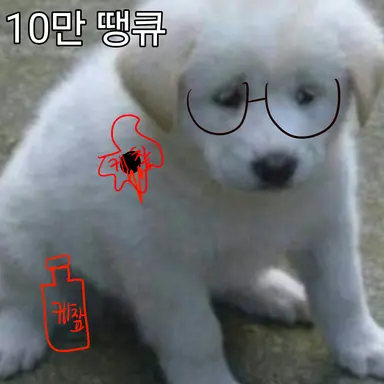 Profile image of 카루