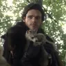 Profile image of Robb stark