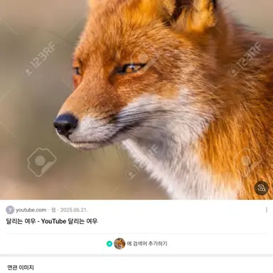 Profile image of 여우