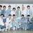 세븐틴 [고양이]