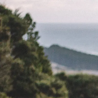 Profile image of クリス