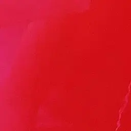 Profile image of 大森  元貴