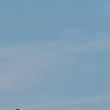 Profile image of 유민