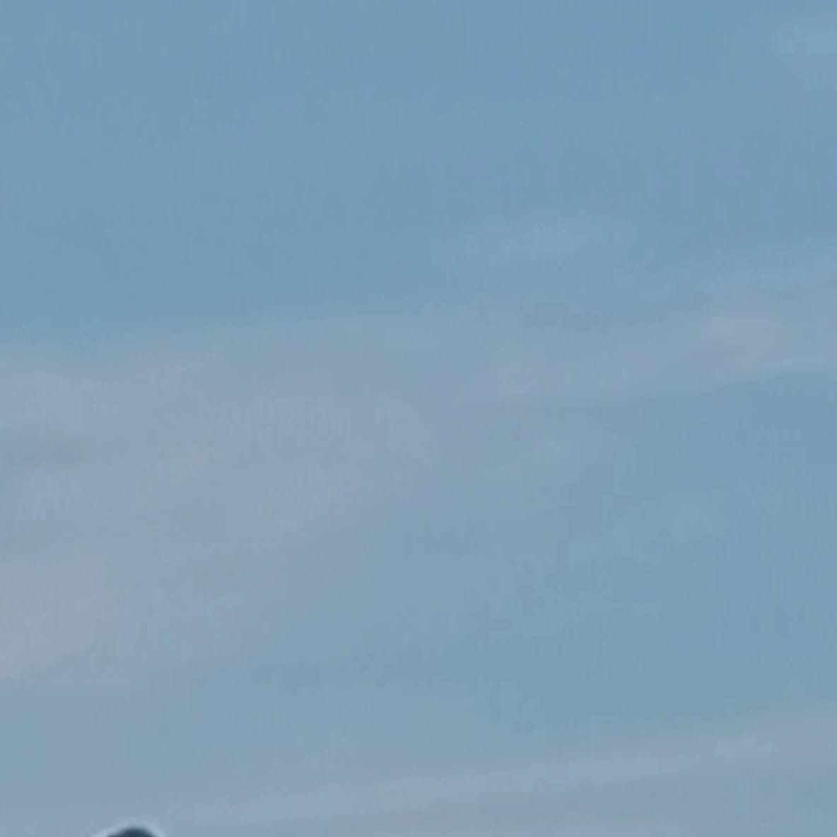 유민