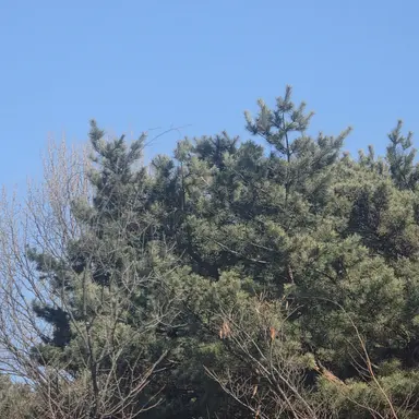 Profile image of 김유한