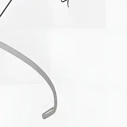 Zkwl의 마인크래프트 베어타운