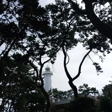 Profile image of 설아