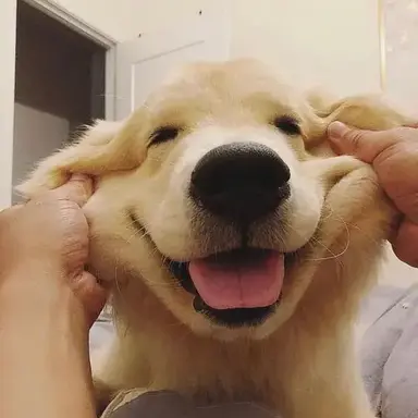 Profile image of 료타