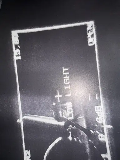 Profile image of Leon