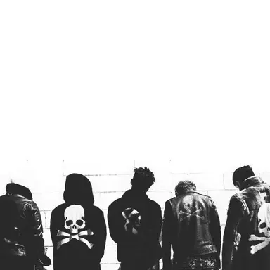 Profile image of D-LITE