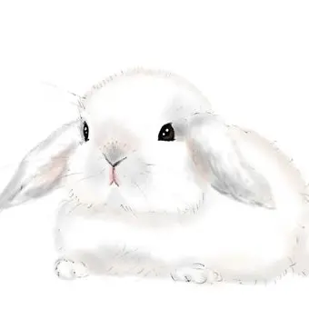 Profile image of Usagi